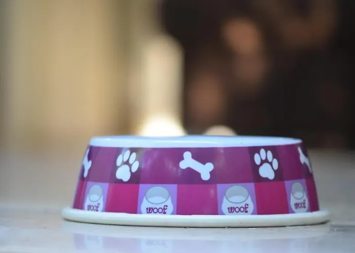 Lägenhet San Cataldo